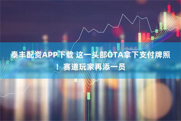 泰丰配资APP下载 这一头部OTA拿下支付牌照！赛道玩家再添一员