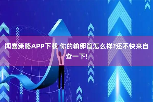 闻喜策略APP下载 你的输卵管怎么样?还不快来自查一下!