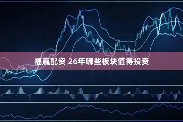 福赢配资 26年哪些板块值得投资