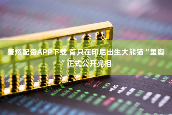 秦翔配资APP下载 首只在印尼出生大熊猫“里奥”正式公开亮相