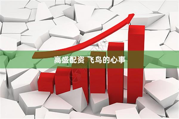 高盛配资 飞鸟的心事