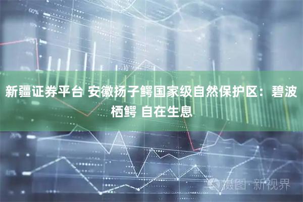 新疆证券平台 安徽扬子鳄国家级自然保护区：碧波栖鳄 自在生息