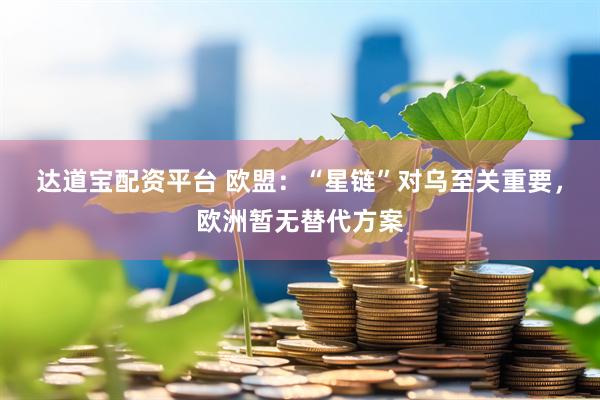 达道宝配资平台 欧盟：“星链”对乌至关重要，欧洲暂无替代方案